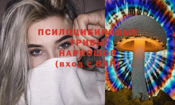 МДПВ Абдулино