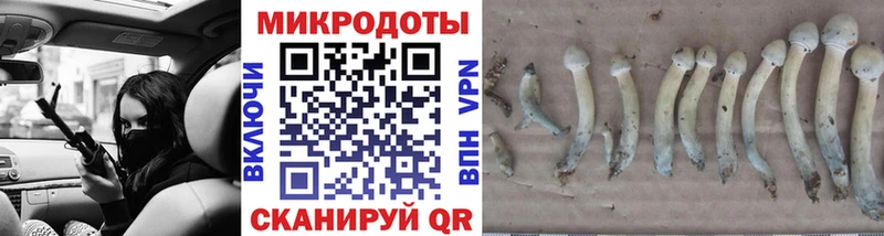 Галлюциногенные грибы мицелий Закаменск